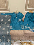 Luxury Embroidered Cotton Silk Farshi - BU10062 - Buland's